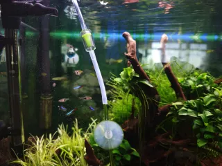 Acuario de 60 litros. Precio negociable