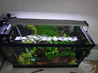 Acuario de 60 litros. Precio negociable