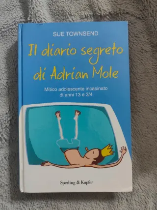 SUE TOWNSEND - DIARIO SEGRETO
