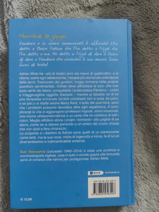 SUE TOWNSEND - DIARIO SEGRETO