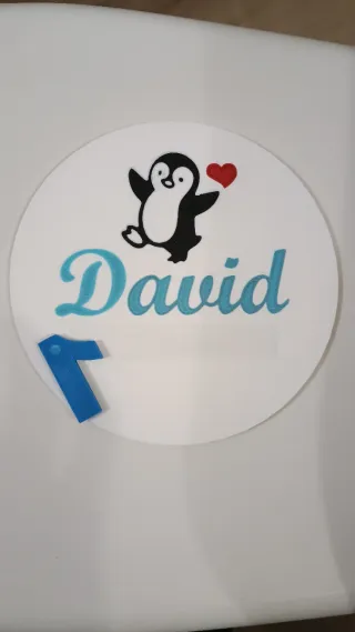 Disco segna mesi neonato personalizzato 1-12 mesi