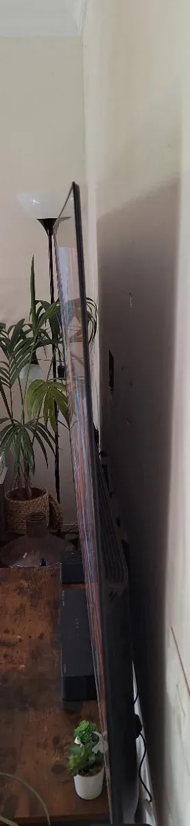 LG OLED 77 TV + Peana + Soporte Pared