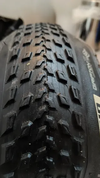 Neumático Fast Track