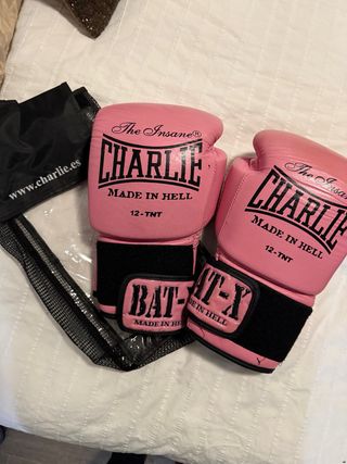 Guantes de Boxeo Charlie Rosa 12-TNT