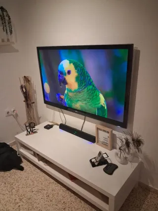 Televisor LG 55 - Impecable