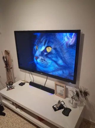 Televisor LG 55 - Impecable