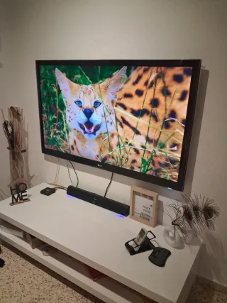 Televisor LG 55 - Impecable