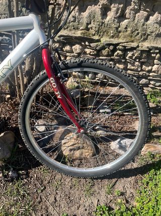 Bicicleta Montaña Gotty