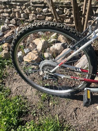 Bicicleta Montaña Gotty