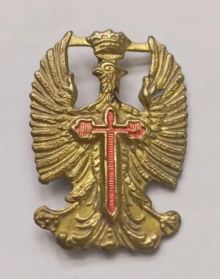 Insignia Águila San Juan Cruz Santiago Ejército 2