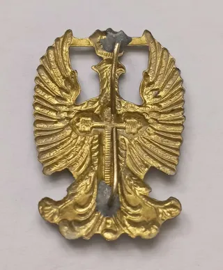 Insignia Águila San Juan Cruz Santiago Ejército 2