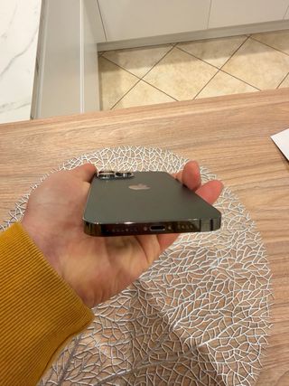 iPhone 13 Pro Max Grigio