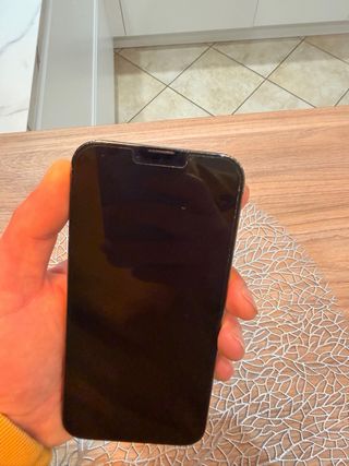 iPhone 13 Pro Max Grigio