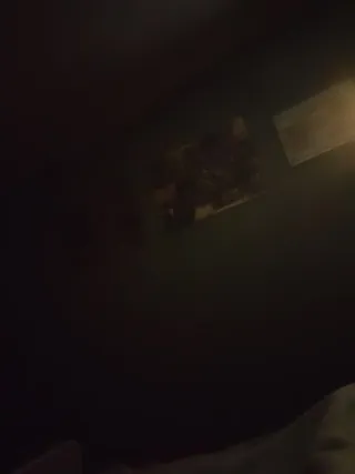 Pepe Jeans Zapatillas Naranja/Rosa