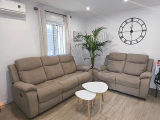 Planta de interior Areca