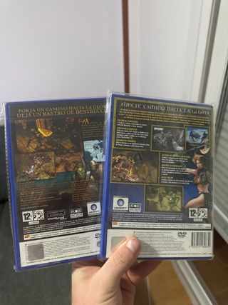 Champions of Norrath y Return to Arms PS2