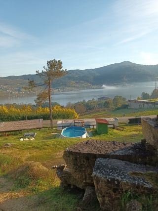 Finca en Ribadavia