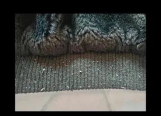 Cazadora reversible negra con capucha.