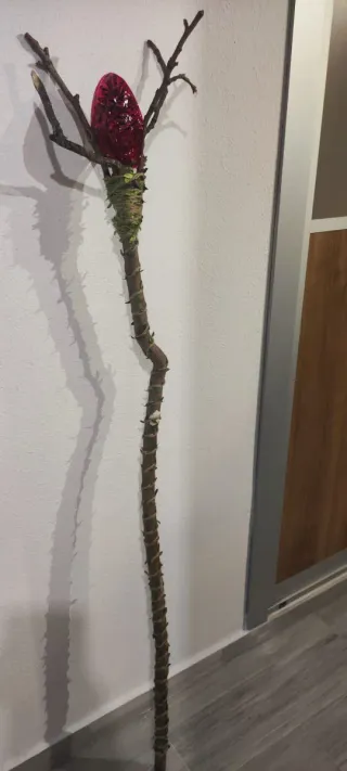 Disfraz Duende Bosque Niño