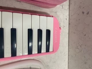 Melódica infantil rosa con funda