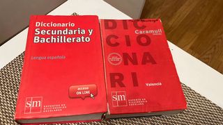 Diccionarios y Biblias