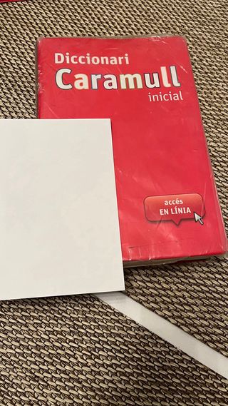 Diccionarios y Biblias