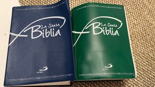 Diccionarios y Biblias