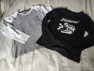 Lote 11 Camisetas Variadas