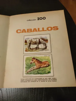 Álbum Cromos Caballos Completo