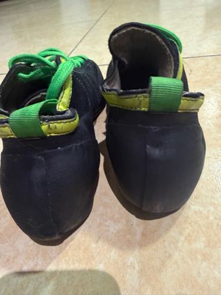 Pie de gato Boreal 39.5