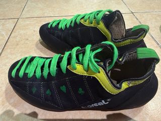 Pie de gato Boreal 39.5