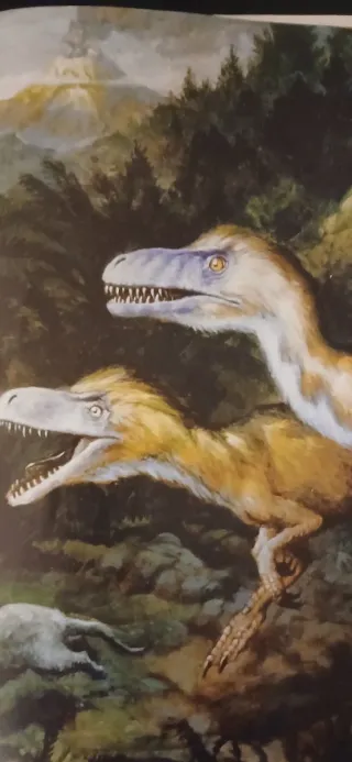 Libro sulle tracce dei Dinosauri