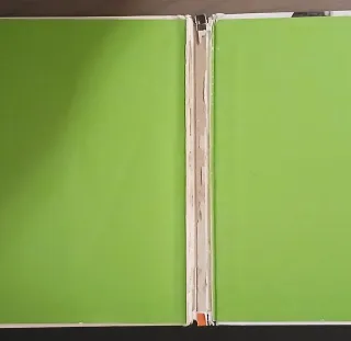 Libro sulle tracce dei Dinosauri