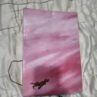 Carpeta Scooby Doo y Scrappy Doo Antigua