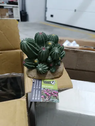 Cactus Resina Terrario Reptiles