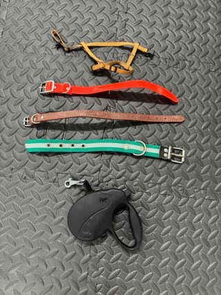 Collar y Correa para Perro