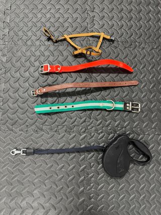 Collar y Correa para Perro