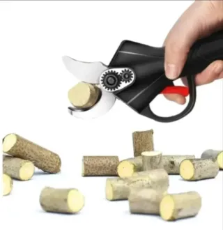 Tijeras Podar Eléctricas Recargables (2 Baterías)