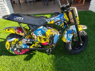 Moto electrica