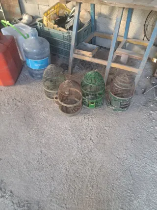 Jaulas para perdices