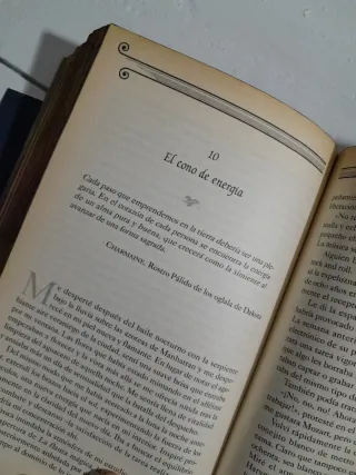 El libro de las sombras o Diario de una bruja.