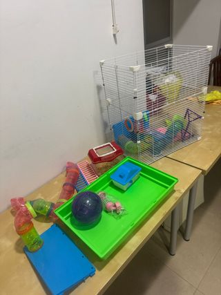 Jaula y accesorios para hámster