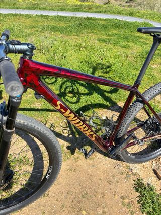 Bicicleta S-Works Epic 29