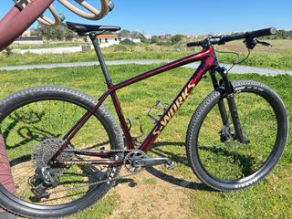 Bicicleta S-Works Epic 29