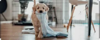 Se precisa servicio limpieza 2'5h/semana.