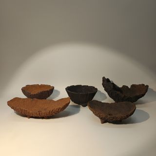 Lote 5 Vasi Bonsai Kusamono in Ceramica