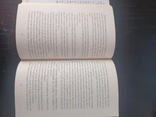 The Bully book. Il Libro segreto dei bulli