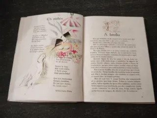 O livro da Segunda Classe Vintage