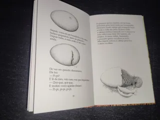 A história do pequeno ganso que era vagaroso Novo