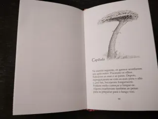 A história do pequeno ganso que era vagaroso Novo